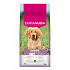 Eukanuba Dog Puppy Large bogaty w jagnięcinę 12kg