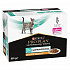 Purina VD Feline - EN St/Ox Gastroint. Chicken saszetka 10x85 g