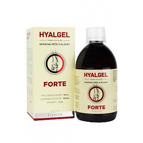 Hyalgel Forte na stawy pomarańcz 500ml