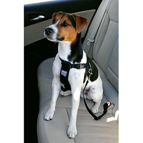 Szelki dla psa Bezpieczeństwo do samochodu M Zolux