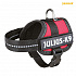 Julius-K9 szelki siłowe Baby 1/XS 30-40 cm, - czerwone