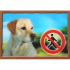 Tabliczka 3D PSY, Golden retriever