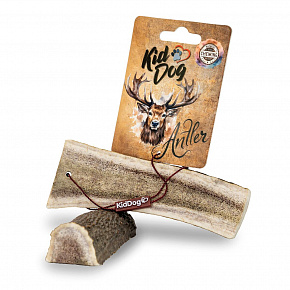 KIDDOG Antler, przecięty róg jelenia - M