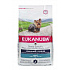 Eukanuba Dog BREED Adult Yorkshire Terrier 2kg