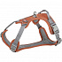 Szelki PREMIUM ACTIVE, rdzawy