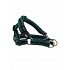 Szelki BUSTER Airmesh odblaskowe S, 20mm zielone