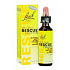 RESCUE REMEDY Krople ratunkowe 20ml