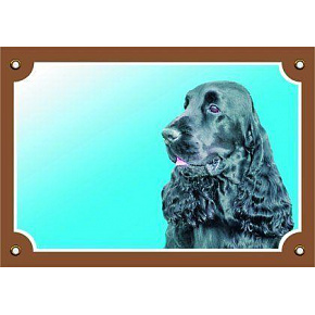Kolorowa tabliczka Uwaga pies, Angielski cocker spaniel czarny