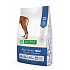 Natures P dog junior maxi drób 12 kg
