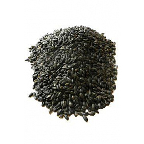 Słonecznik czarny 5kg