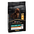 ProPlan Dog Adult Small&Mini EverydayNutr Kurczak 7kg