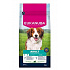 Eukanuba Dog Adult Small&Medium bogata w jagnięcinę 12kg