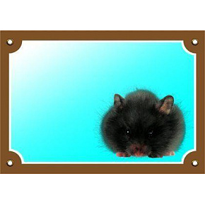 Kolorowa tabliczka Uwaga pies, Chomik