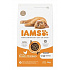 Iams Cat Kitten Chicken 3kg