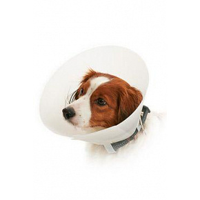Kołnierz ochronny BUSTER nieprzezroczysty Classic Collar 30cm