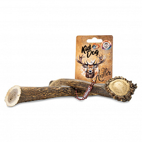 KIDDOG Antler, cały poroże jelenia - L