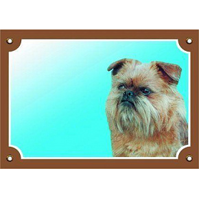 Kolorowa tabliczka Uwaga pies, Gryfonik brukselski Kolorowa tabliczka Uwaga pies, Gryfonik brukselski