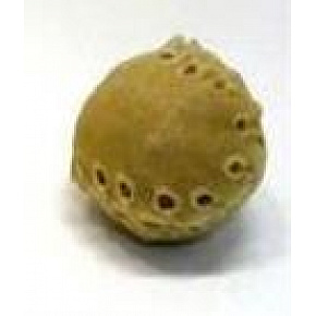 Przysmak Salač Piłeczka ze skóry 5 cm Przysmak Salač Piłeczka ze skóry 5 cm