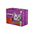 Whiskas saszetka Klasyczny wybór w sosie 12x85g