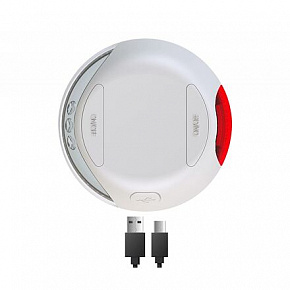Flexi LED Lighting System - latarka do smyczy, jasnoszara