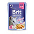 Brit Premium Cat D Filety w Galarecie z Kurczakiem 85g