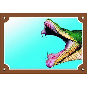 Kolorowa tabliczka Uwaga pies, Wąż paszcza Kolorowa tabliczka Uwaga pies, Wąż paszcza