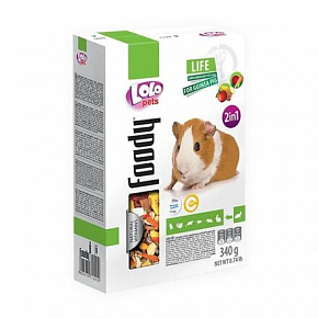 LOLO Foody 2w1 zielony.i owocowa karma dla świnek morskich 340g pudełko