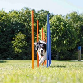 AGILITY Slalom, tyczki 12 sztuk