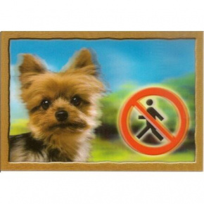 Tabliczka 3D PSY, Yorkshire Terrier
