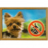 Tabliczka 3D PSY, Yorkshire Terrier