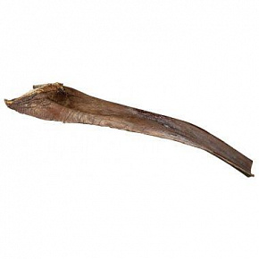 Papah wood - liść palmowy 50-65 cm dla gadów do wspinaczki (6 szt.)