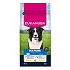 Eukanuba Dog Mature Medium bogaty w świeżego kurczaka 15kg