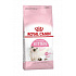 Royal Canin Feline Kitten 2kg