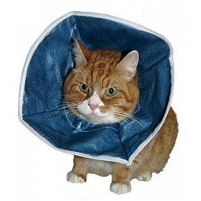 Miękki kołnierz Buster dla kotów i małych psów Miękki kołnierz Buster dla kotów i małych psów