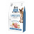 Brit Care Cat GF Large cats Power&Vitality 2kg