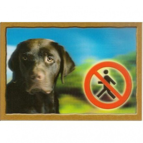 Tabliczka 3D PSY, Labrador retriever (brązowy)