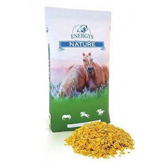 ENERGY´S Cornflakes Płatki kukurydziane 15 kg
