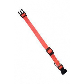 Obroża nylonowa CLUB C 32cmx10mm pomarańczowa FP 1szt.