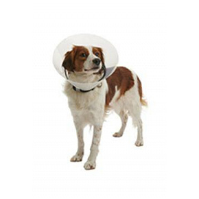 Kołnierz ochronny BUSTER plastikowy Clic Collar 7,5cm