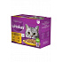Whiskas saszetka Core wybór drobiowy w galarecie 12x85g