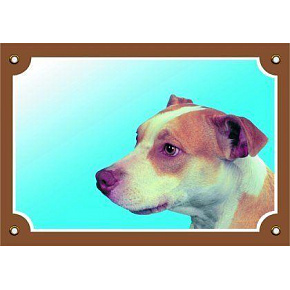 Kolorowa tabliczka Uwaga pies, Pitbullterier