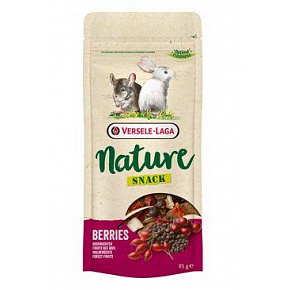VL Nature Snack dla gryzoni Jagody 85g