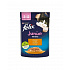 Nestlé FELIX Fantastic cat junior kurczak w galarecie saszetka 26x85 g