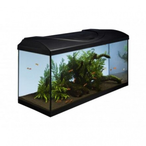 Zestaw akwariowy 80 - czarny 80x35x40 cm (RP 2,90 Kč)