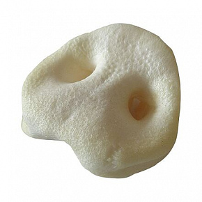 Biały ryjek wieprzowy - opak.1000 g Biały ryjek wieprzowy - opak.1000 g