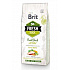 Brit Fresh Dog Duck & Millet Active Run & Work 2,5kg