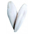 Kość mątwy 15cm (+/-3cm) 15szt.