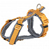 Premium szelki trekkingowe, curry/grafit