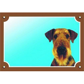 Kolorowa tabliczka Uwaga pies, Airedale Terrier