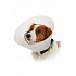 Kołnierz ochronny BUSTER nieprzezroczysty Classic Collar 15cm